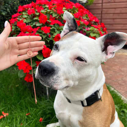 Pfotenschmuck Halskette